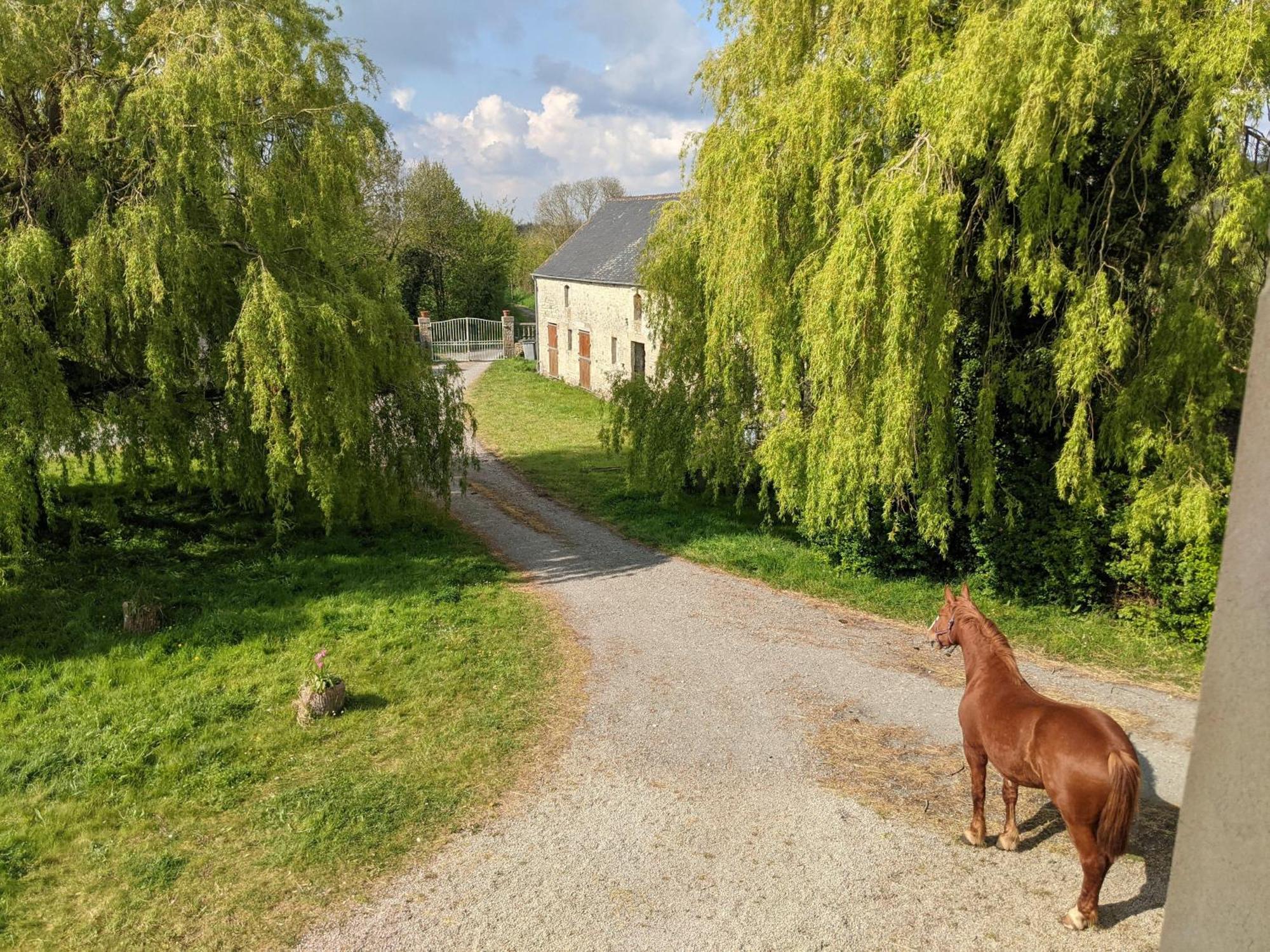 Ferme De Franqueville Sainte-Marie-du-Mont  Exterior foto